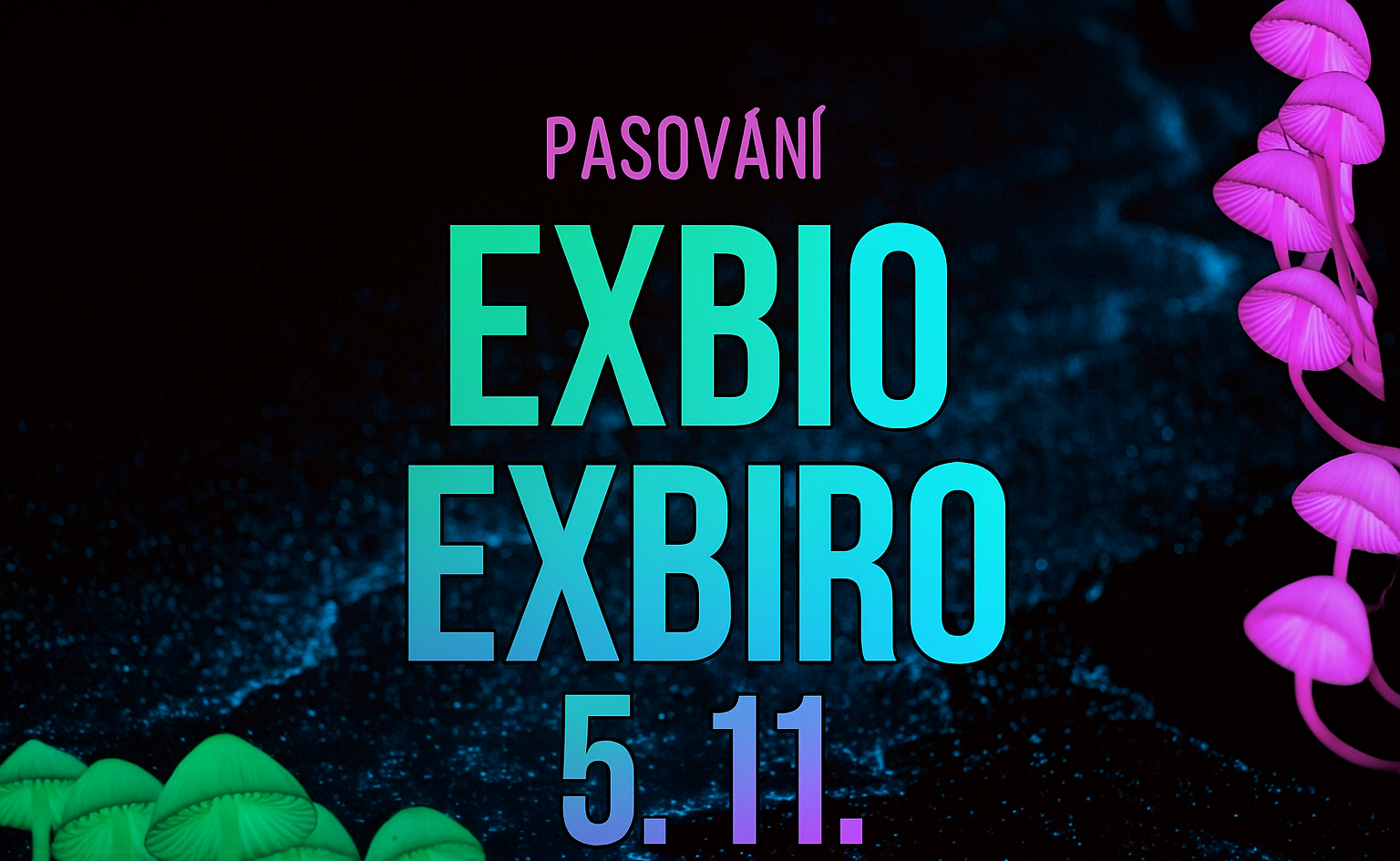 Pasování EXBI(R)O
