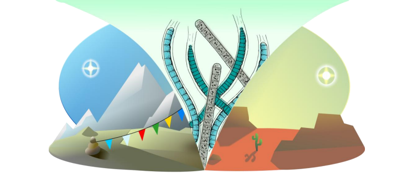 Téma disertační práce