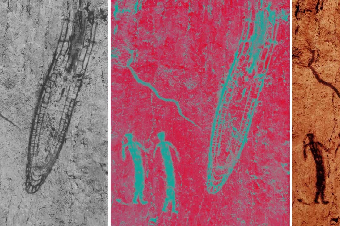 11th Root Development Symposium – 2026